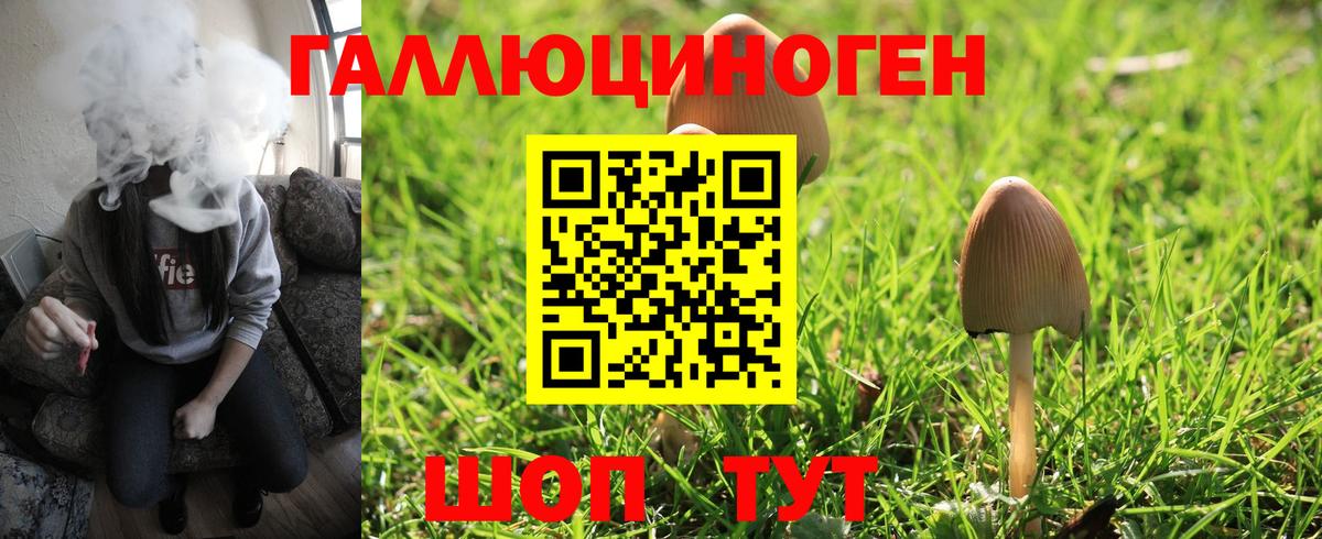 Казань  Галлюциногенные грибы Psilocybe  Вход с VPN  Галлюциногенные грибы мухоморы 